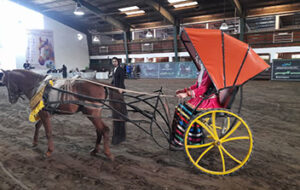 استاندار گیلان در جشنواره ملی زیبایی اسب کاسپین : اسب کاسپین می‌تواند برند بین‌المللی گیلان شود